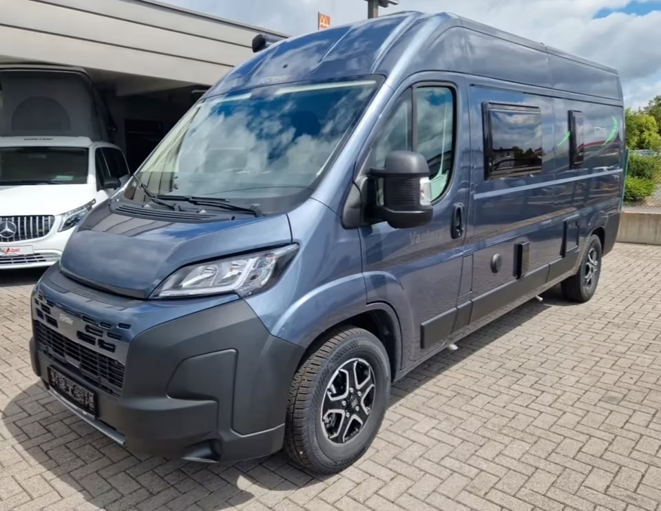 Forster FD 599 HB (Hibiscus)